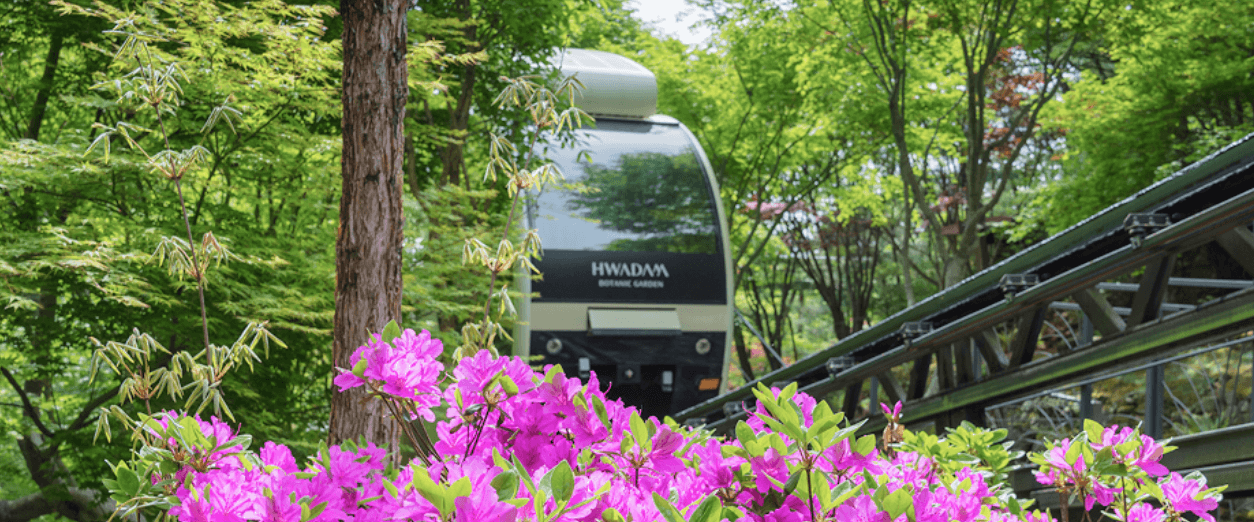 화담숲 예약 입장료 화담채