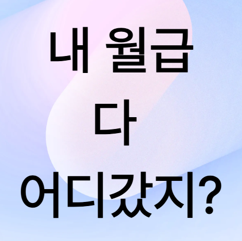 내 월급 다 어디 갔지