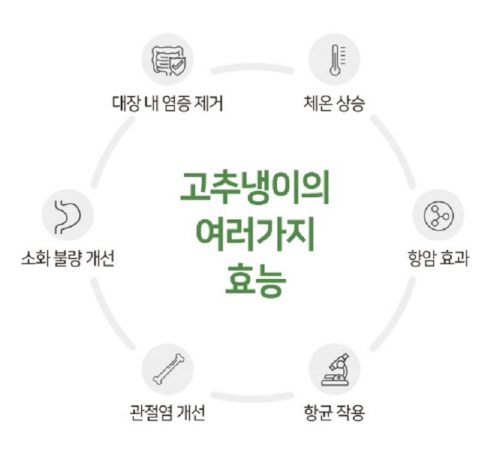 고추냉이의여러가지효능-강원-철원
