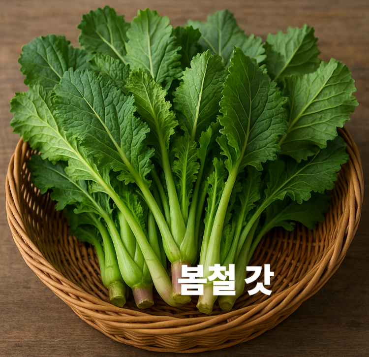 염증억제 시력보호 손발저림완화 장건강유지 봄철 갓 효능 영양성분