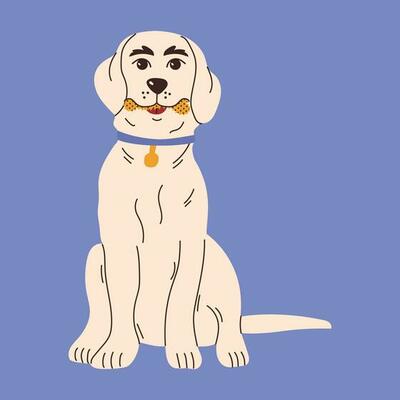 강아지 덴탈껌 이미지