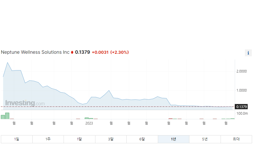 넵튠 1년 주가그래프입니다.