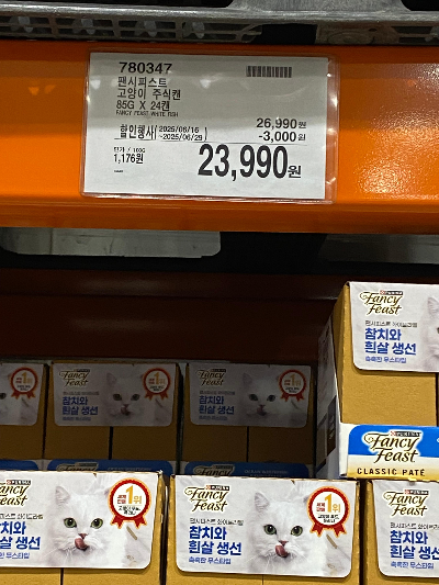 팬시피스트 고양이 주식캔