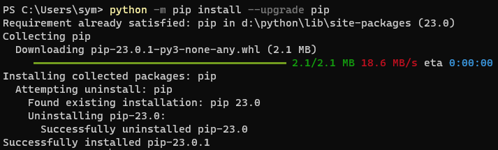 pip-update