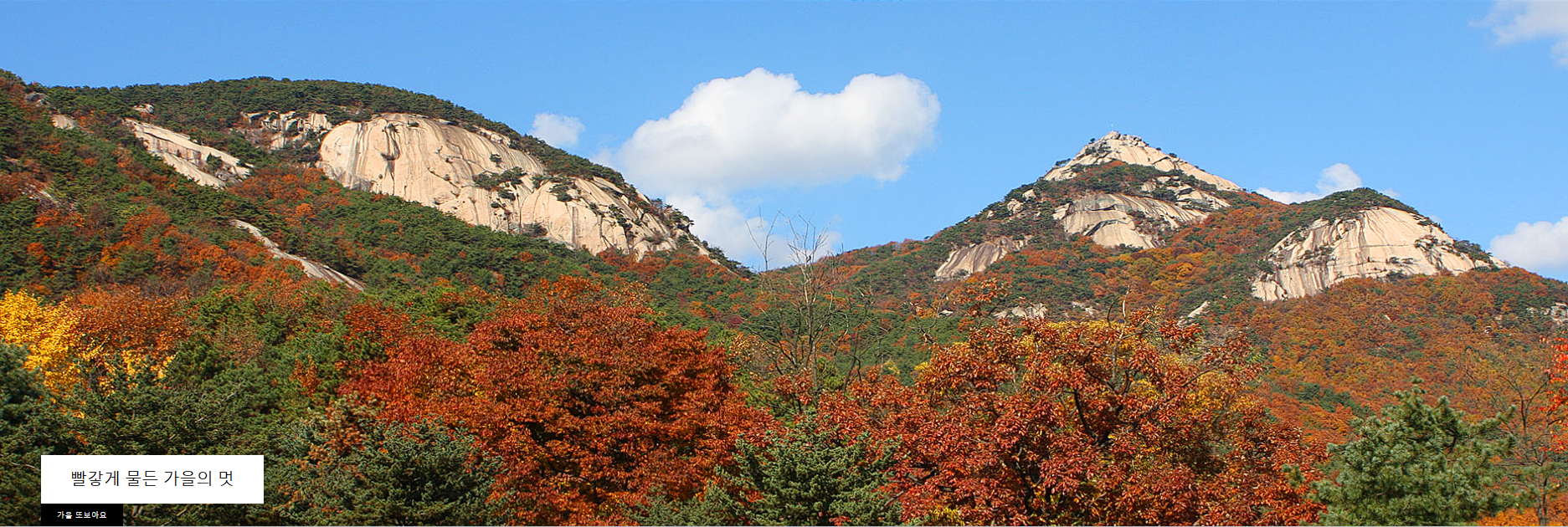 산들소리 수목원 입장료 주차장 후기