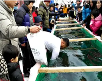 청양 알프스마을 칠갑산 얼음분수축제_32