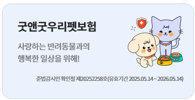 현대해상-실비보험-청구-방법-서류-주의사항-총정리