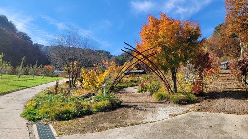 특색있고 아름다운 민간 정원 30선 추천 여행 - 12. 인제 찍박골 정원