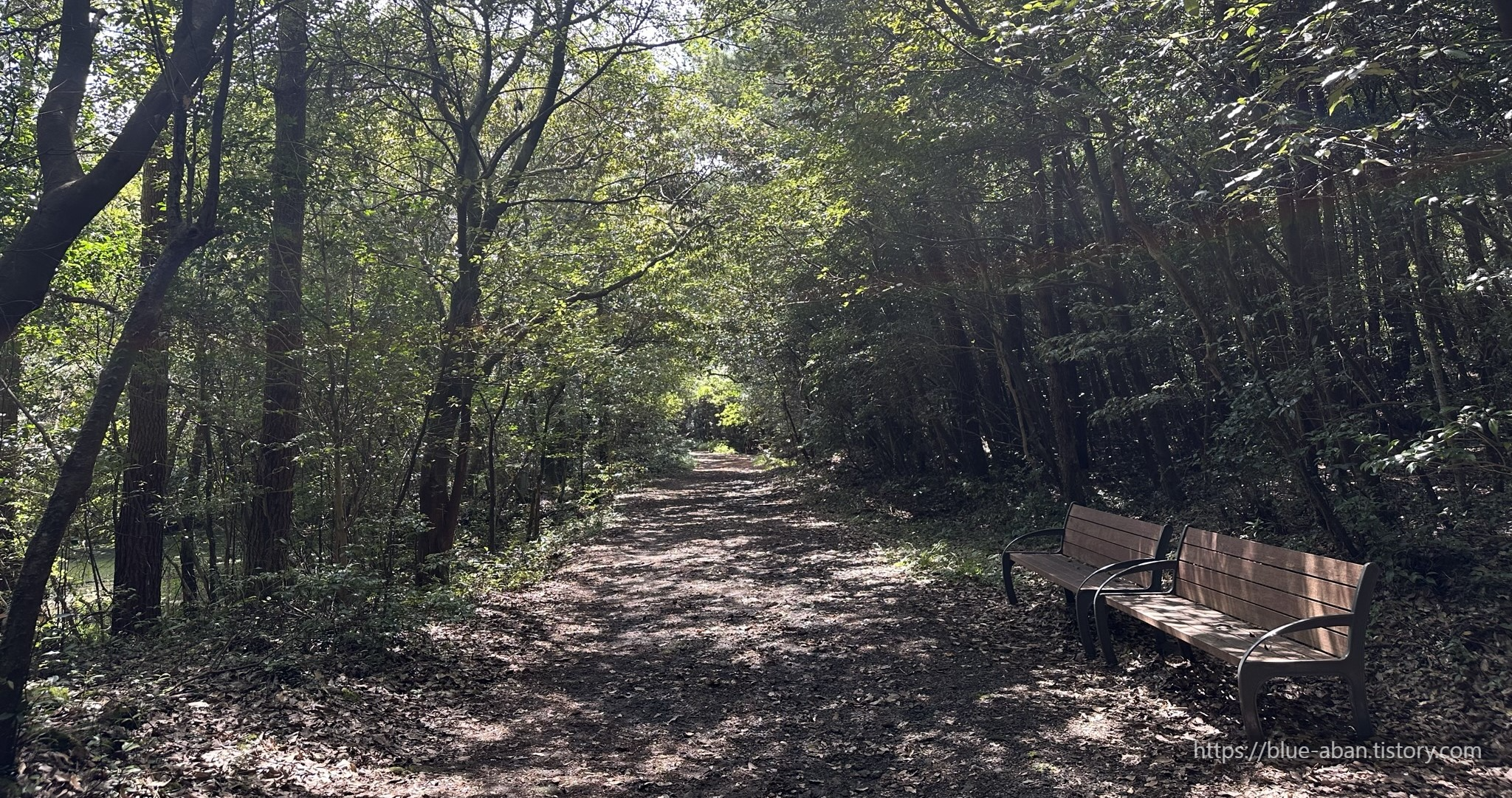 동백동산-산책로