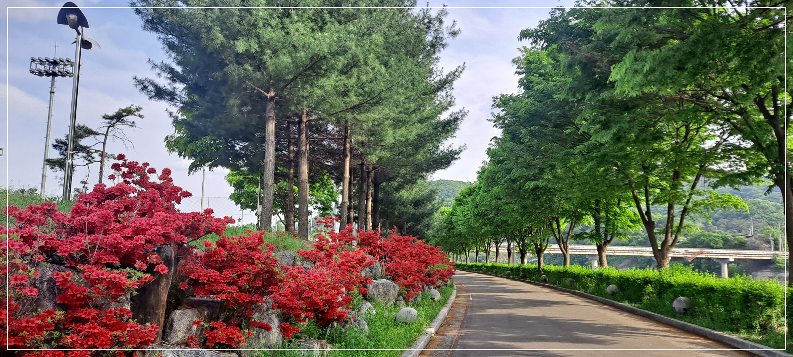 산책로