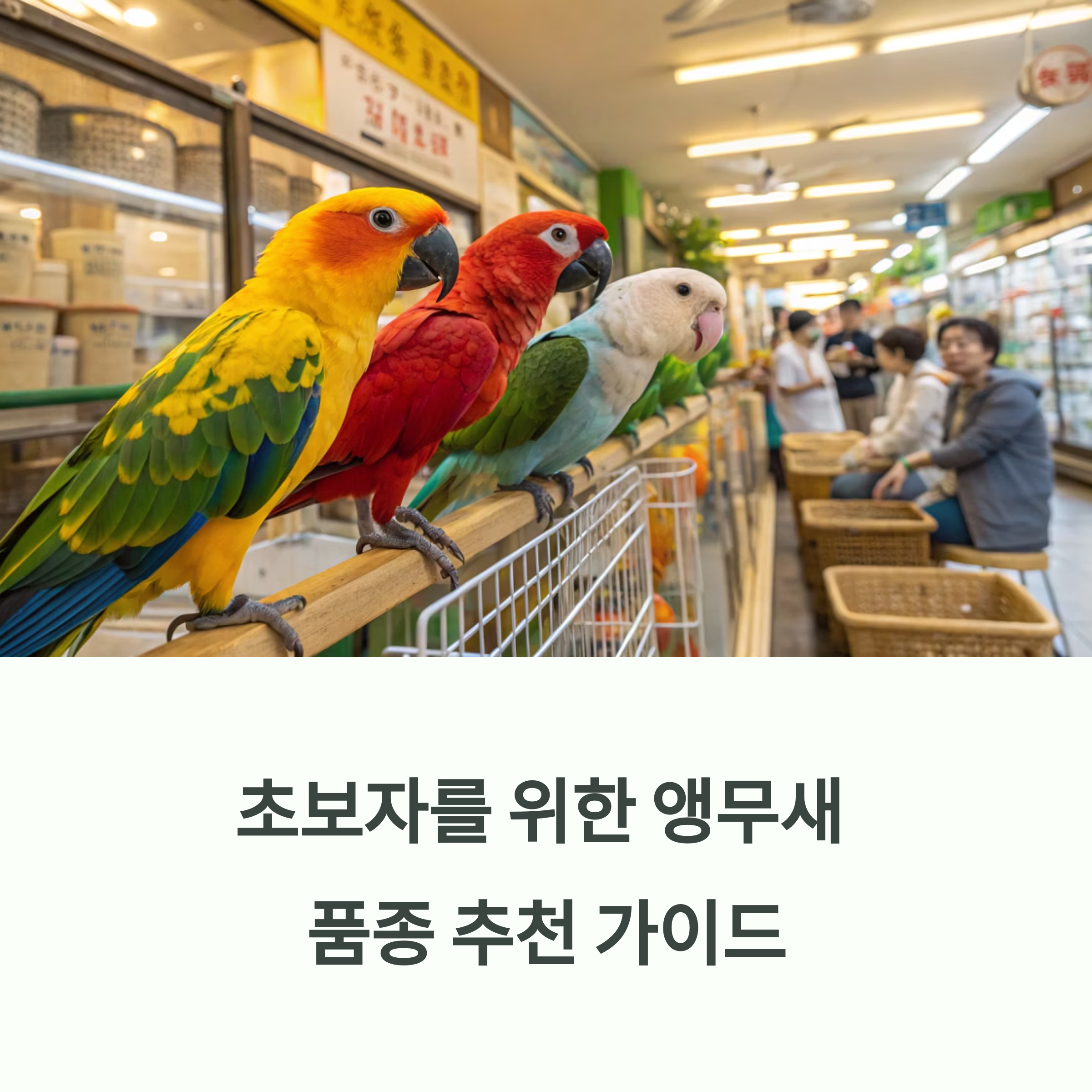 앵무새 품종 추천 가이드