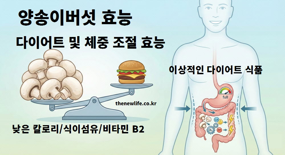 양송이버섯 효능 중 다이어트와 체중 조절 작용을 설명하는 인공 이미지