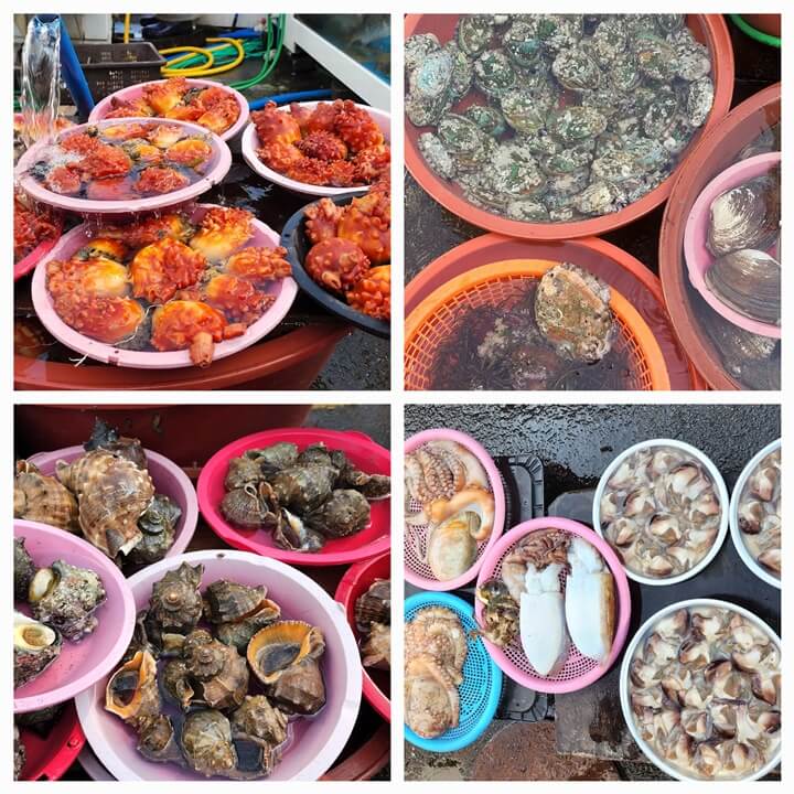 멍게, 전복,소라, 새조개와 문어