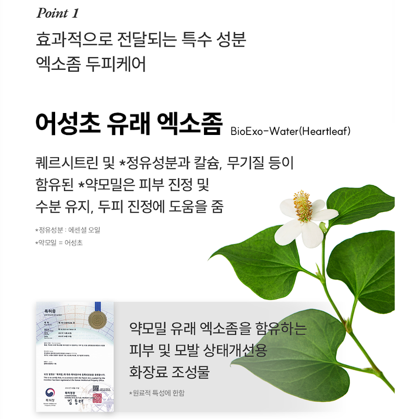 그로우턴 앰플 내돈내산 후기