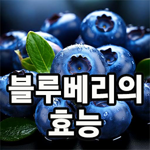 블루베리의 효능과 부작용에 대해 설명하는 thumbnail