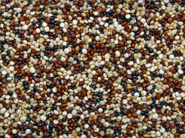 전세계 슈퍼푸드로불리는 퀴노아