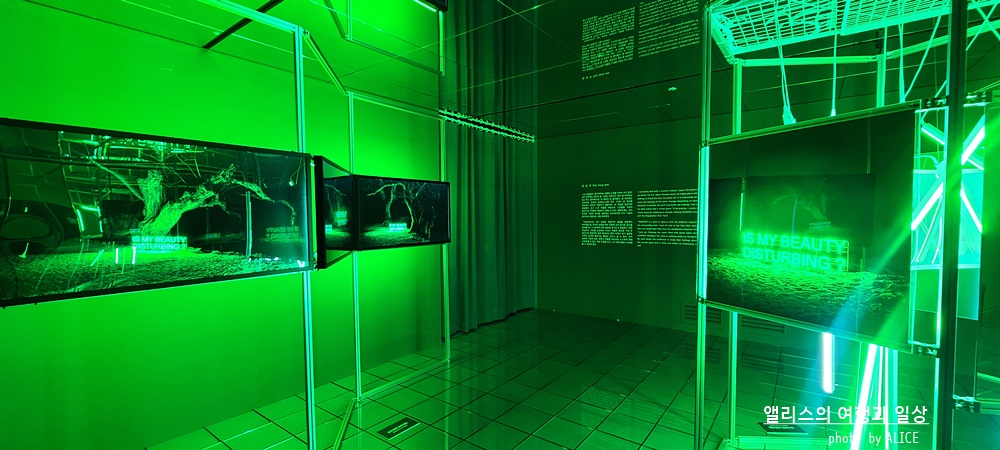 해운대 뮤지엄원 치유의기술, 부산 실내 가볼만한곳, 부산 전시 + 33% 할인예약방법