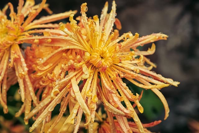 무죄 판결 후 검찰의 항소 가능성과 한계