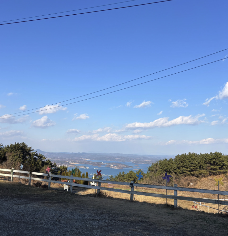 6시 내고향 남해양떼목장 양모리학교 산양유 체험