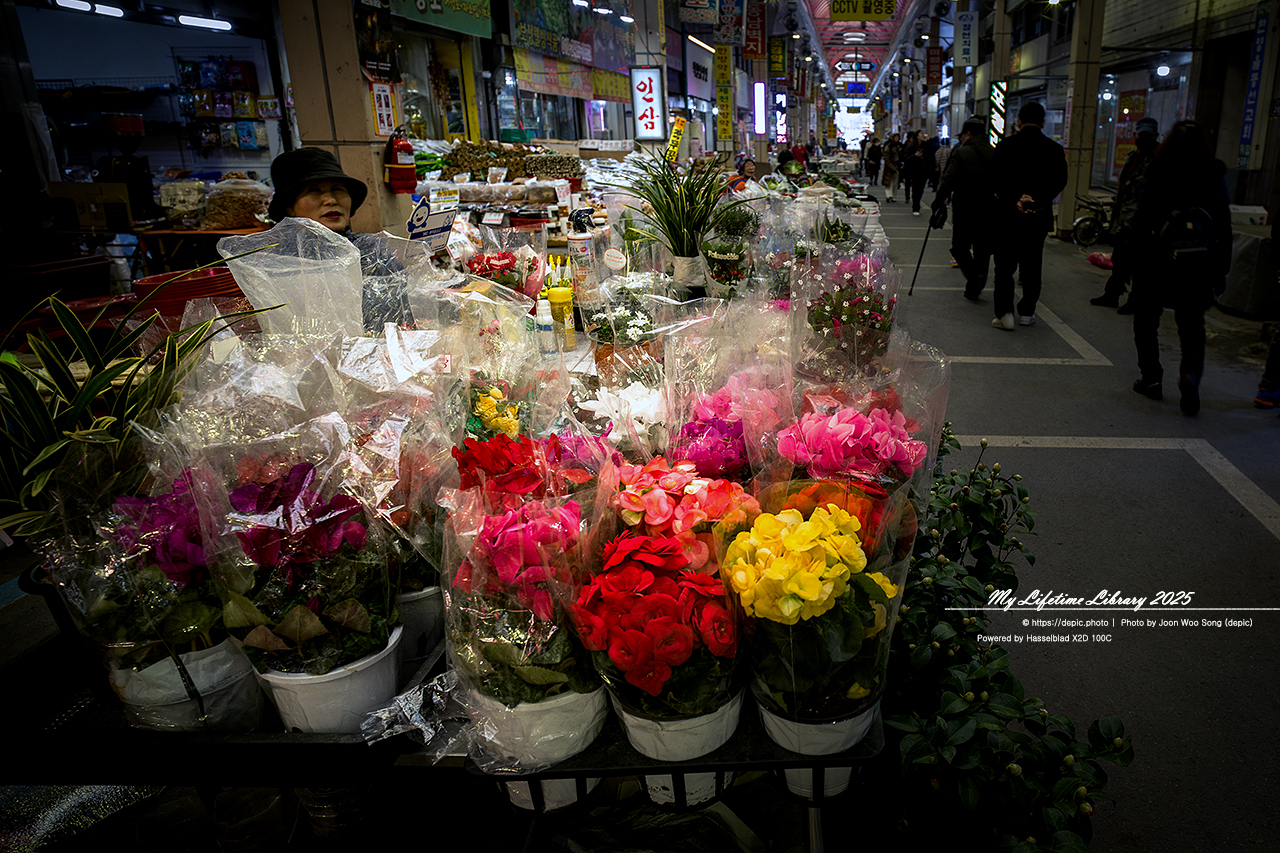 재래시장 육거리시장 청주