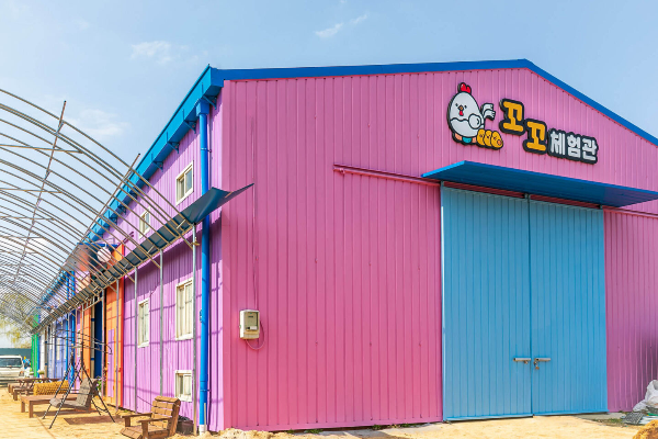 꼬꼬체험관01