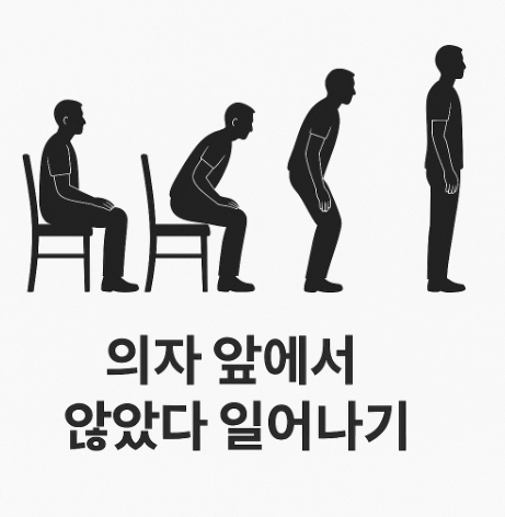 균형 훈련