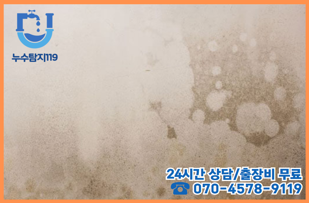 기성동 화장실/욕실2