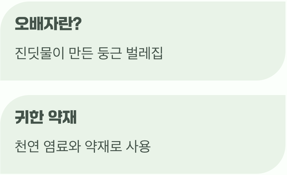 가을의 소금, 오배자의 비밀