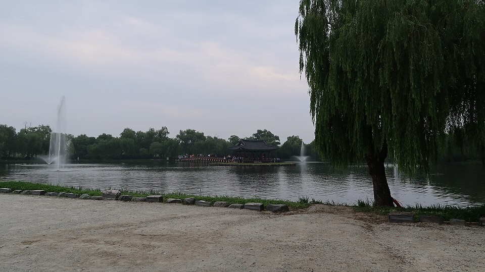 A willow tree stands beside Gungnamji’s pond, with fountains in the water and a pavilion on an island across the pond.