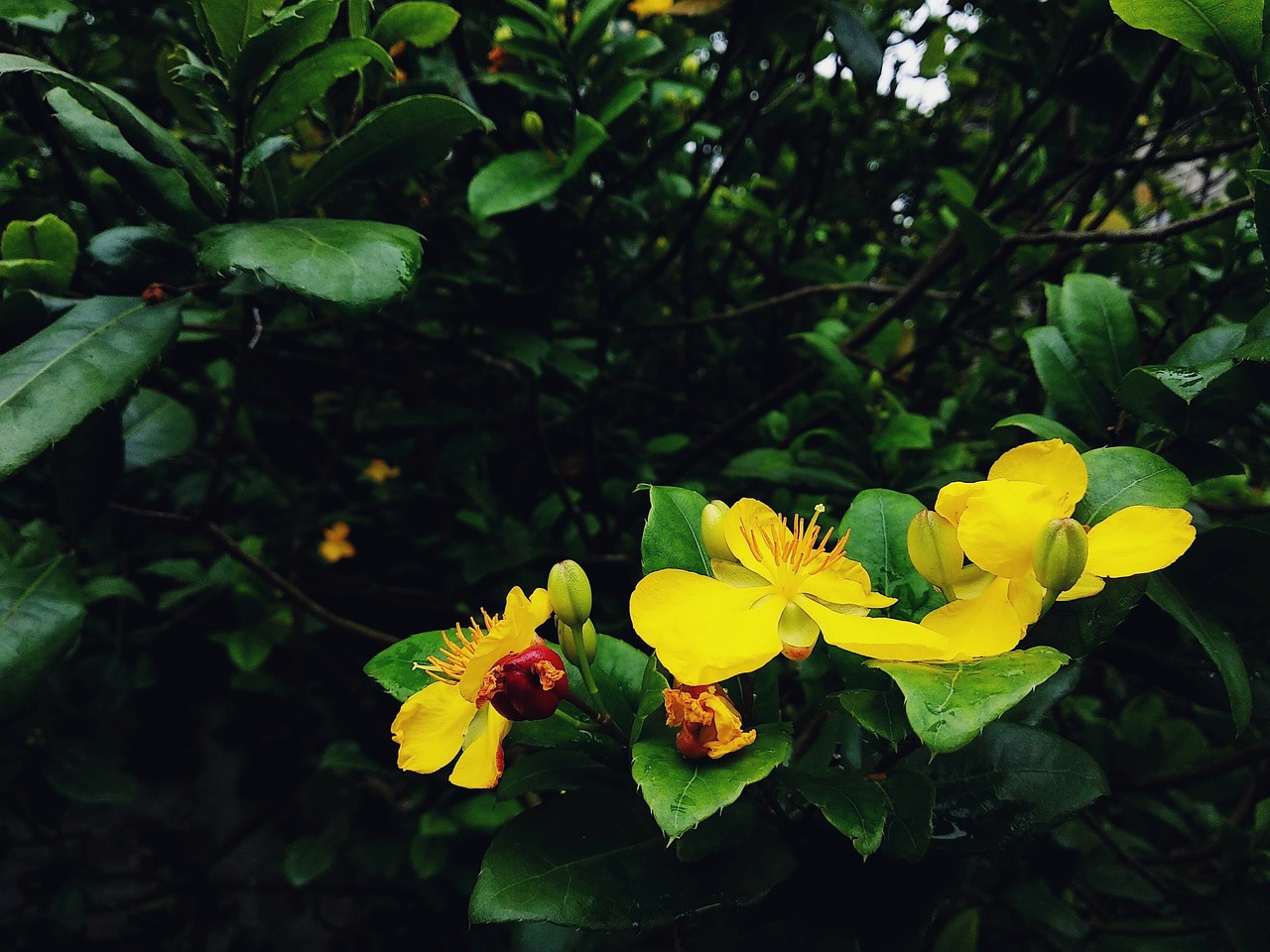 2026년 1월 2일 임시공휴일? 2026년 연휴 총정리