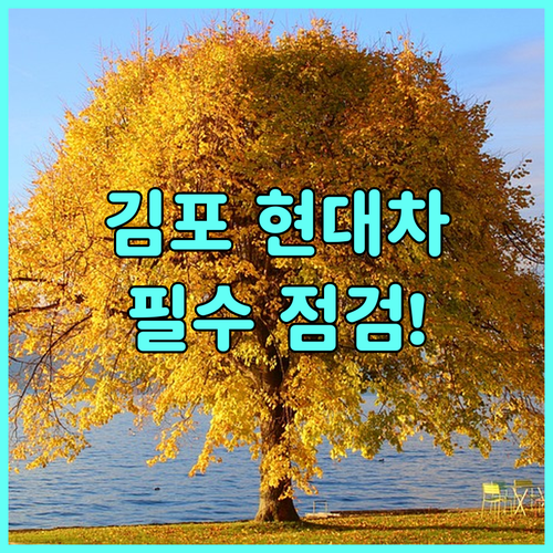 김포 지역 현대자동차 소모품 교체 및..