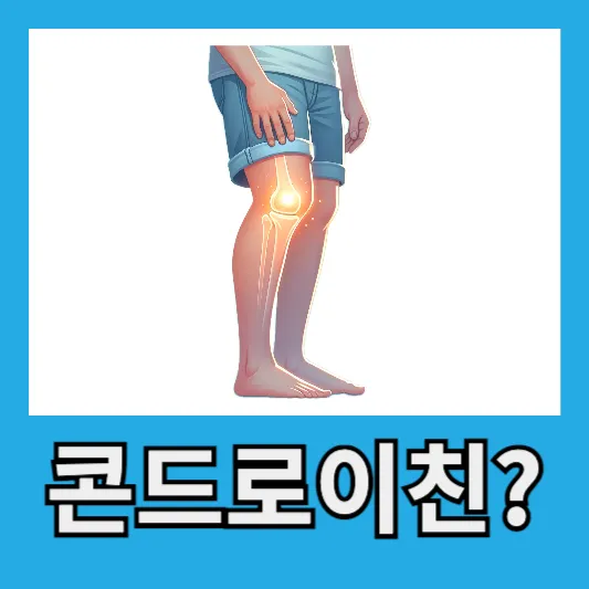 "50대 콘드로이친 1200"