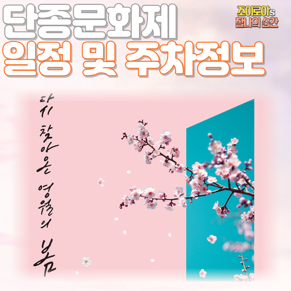 단종문화제 일정 주차정보