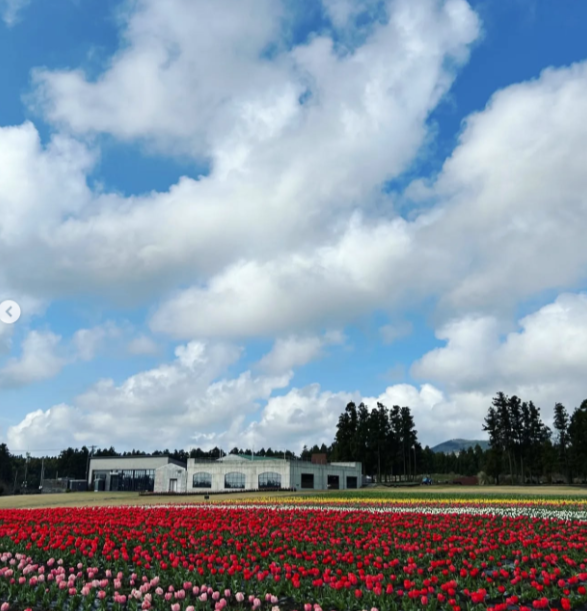 보롬왓 / 사진출처=한국관광공사