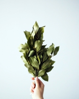 개미없애는 퇴치방법