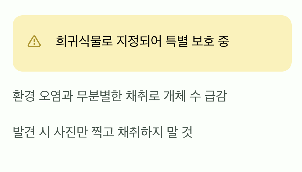 우리 곁에서 사라져가는 귀한 꽃