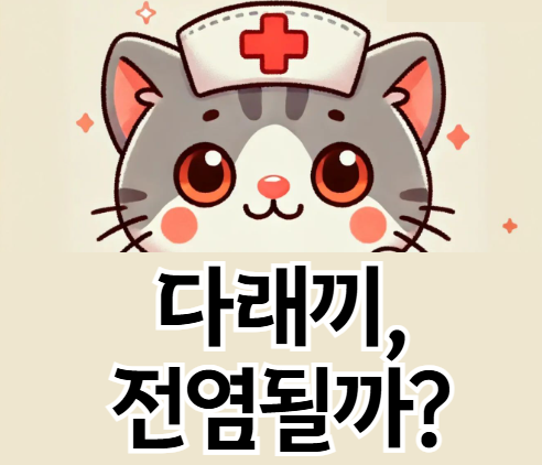 다래끼 옮나요? 감염 경로부터 예방법까지 완벽 정리