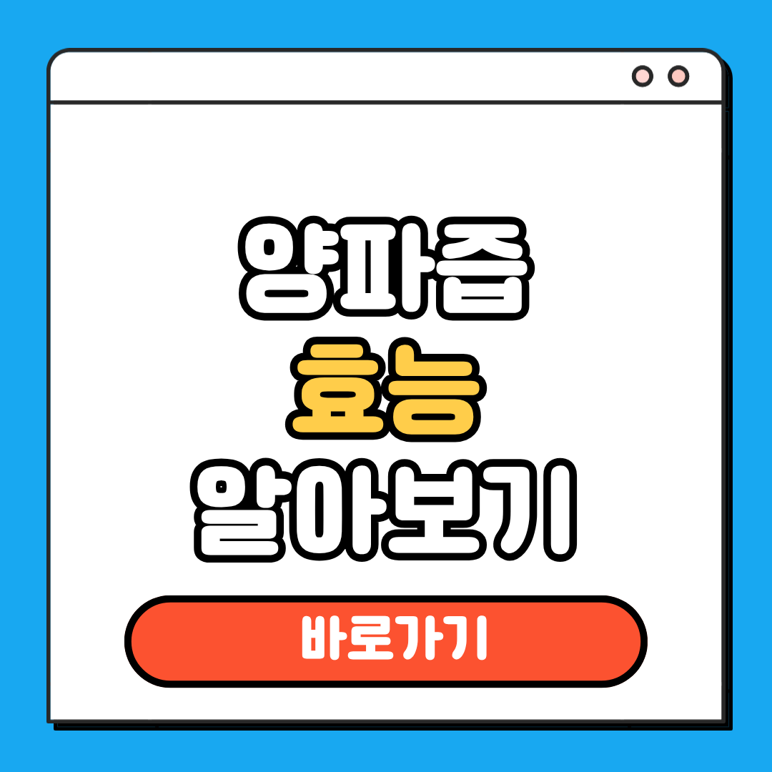 양파즙 효능 알아보기