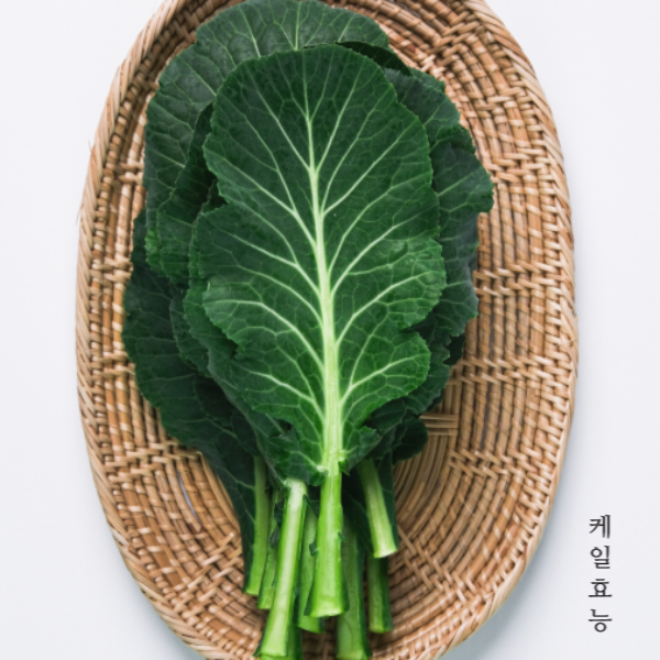 케일 효능 : 케일 효능 알고 드세요!