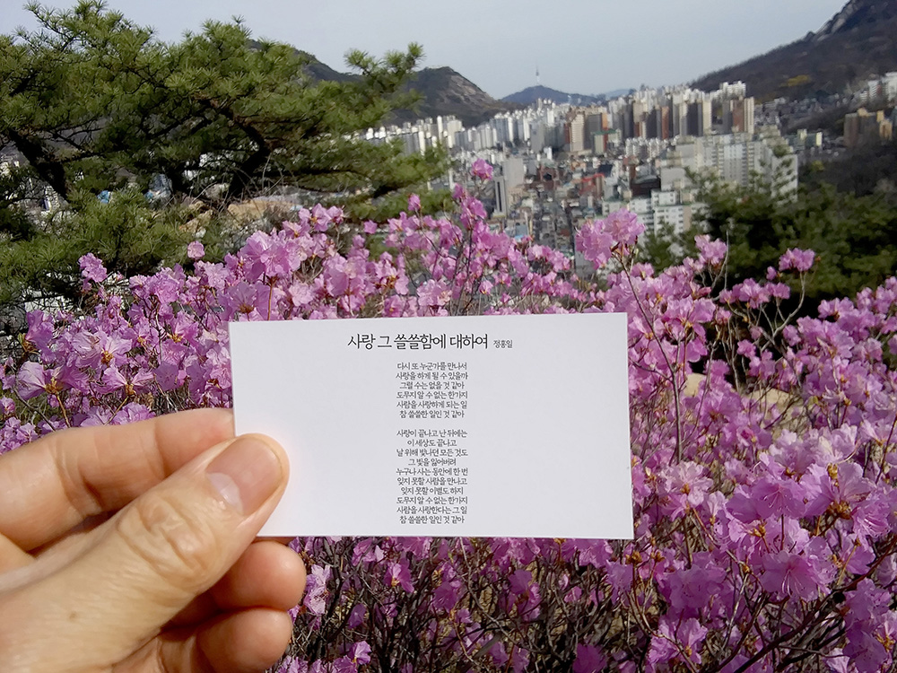정홍일의 사랑 그 쓸쓸함에 대하여