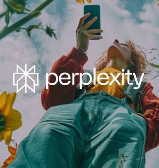 퍼플렉시티-Perplexity