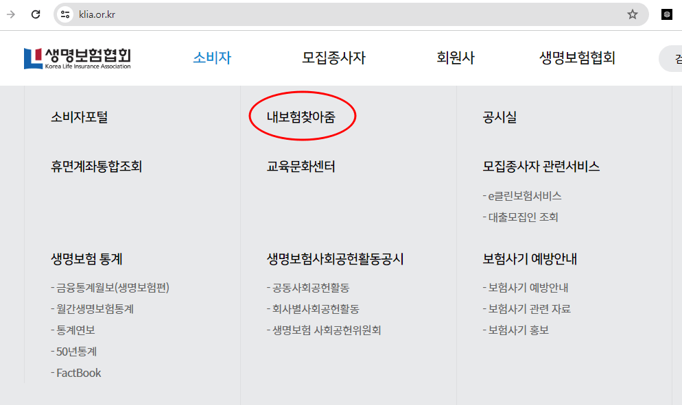보험 해지환급금 조회