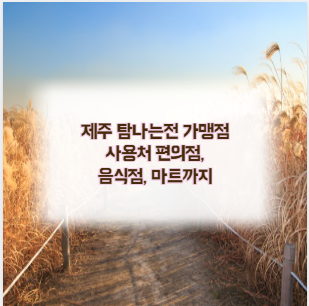 제주 탐나는전 가맹점 어디까지 가능할까