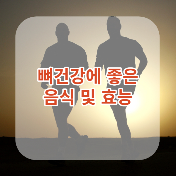 운동하는사진