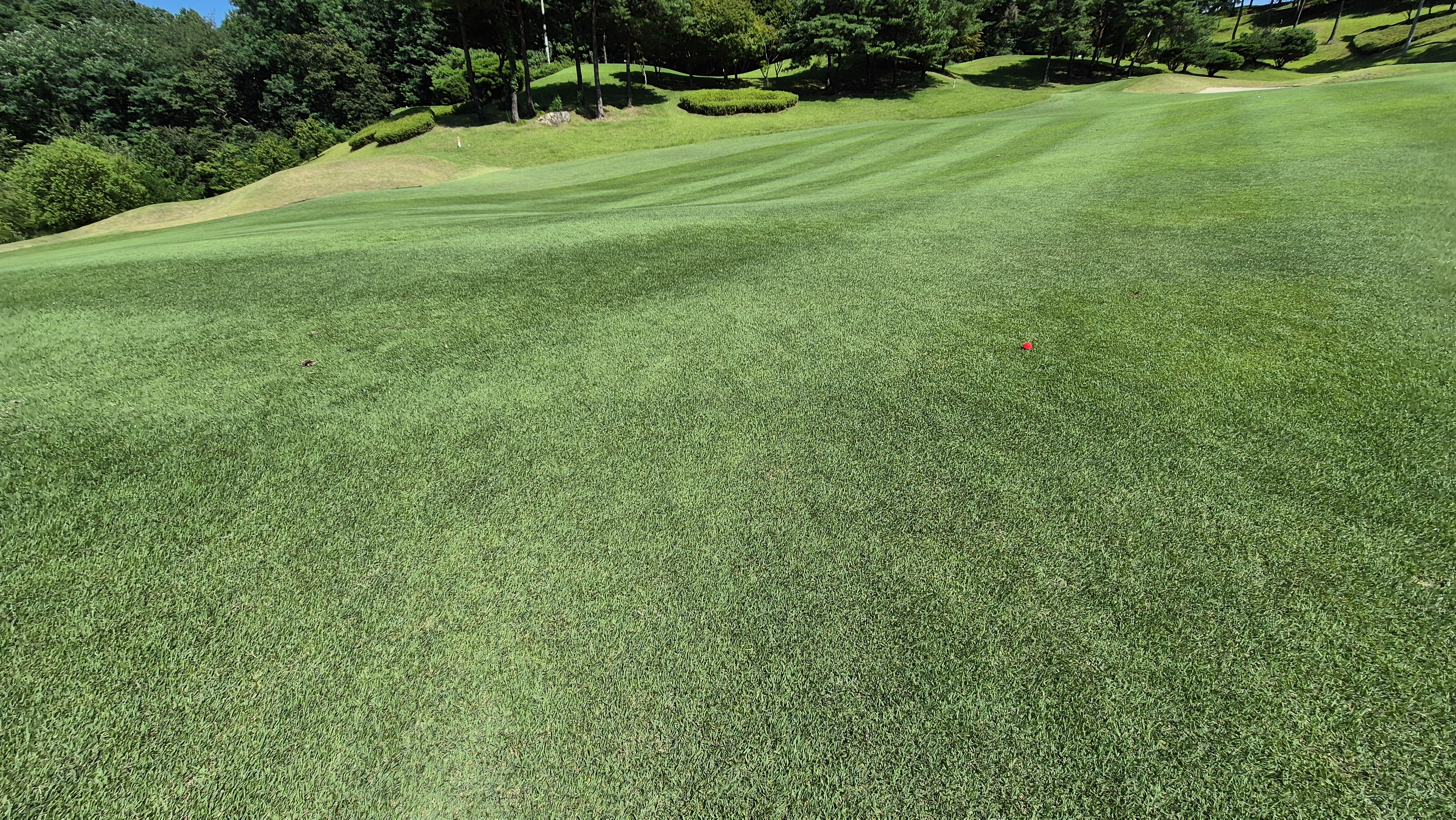 골프존카운티 화랑 라운드 후기