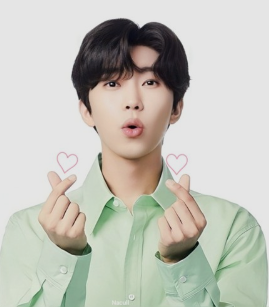 임영웅 히어로 이영웅 근황 이영웅 생일 신곡