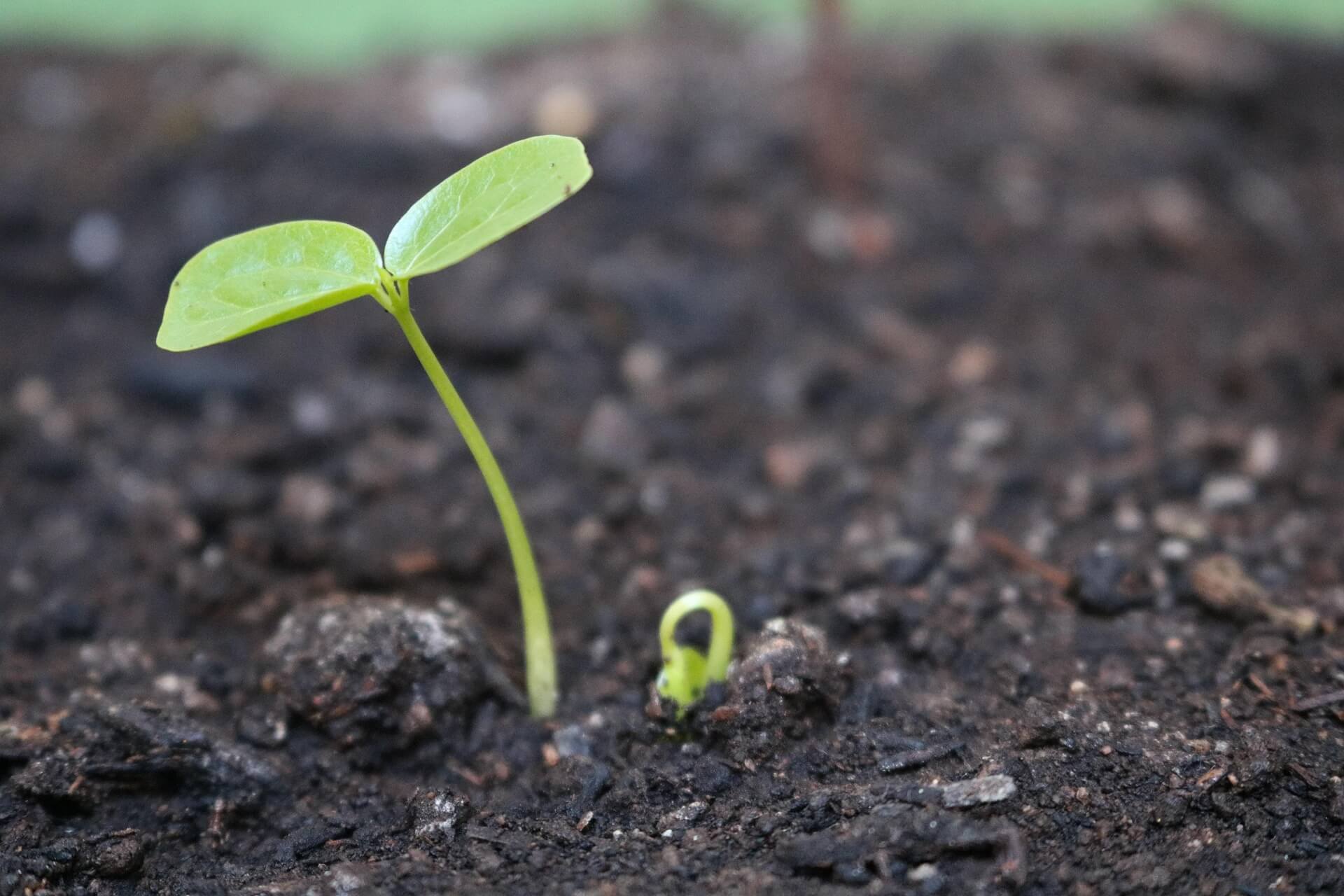 &amp;quot;소득은 낮은데 왜 탈락이죠?&amp;quot; 교육급여 부적격 사례와 이의신청 꿀팁