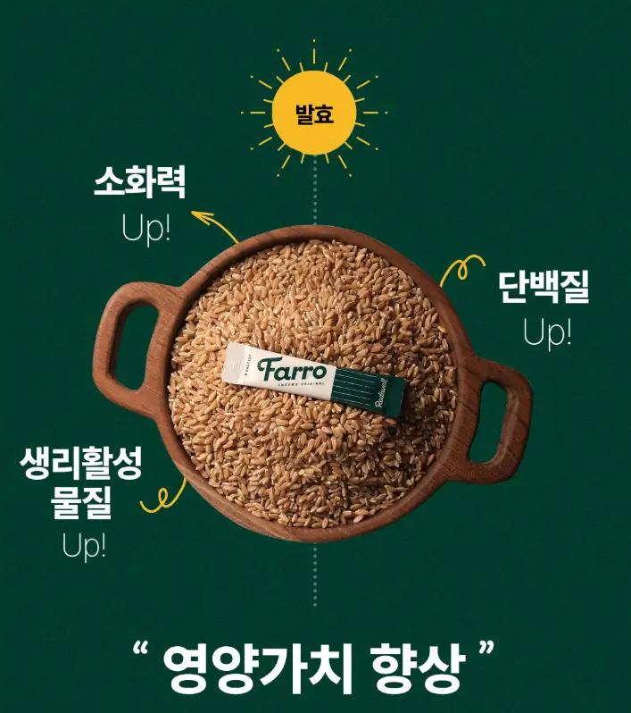 래디웰 파로 효소