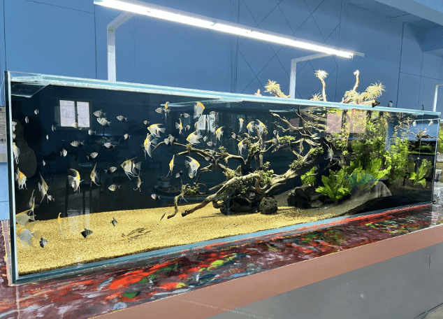 양주-아쿠아풍경