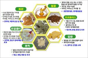 구내염에 좋은 영양제